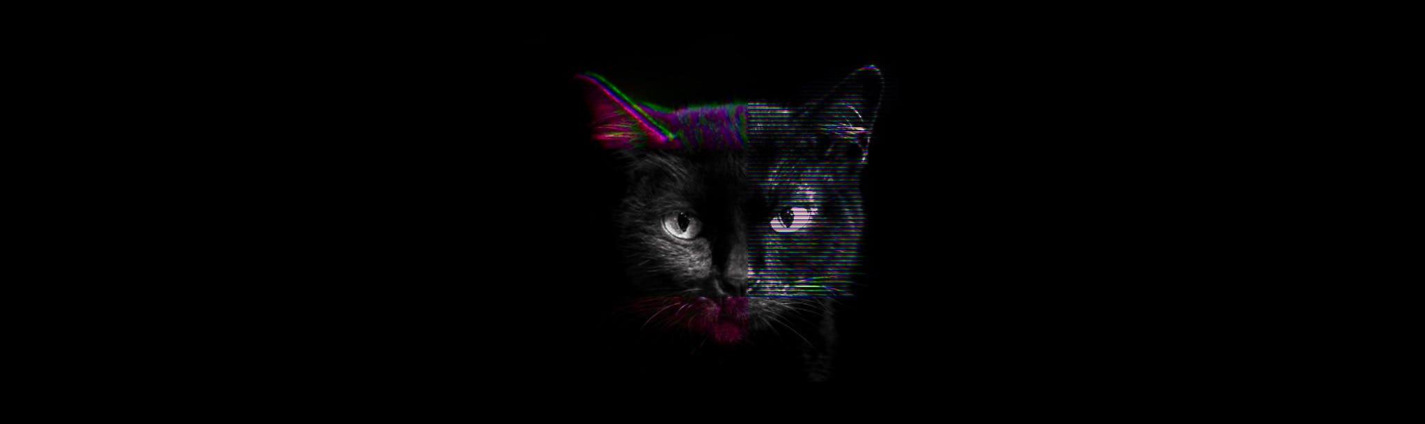 BlackCat ransomware shuts down in exit scam, blames the "feds"